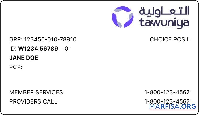 Blank Saudi Arabia health insurance card example